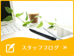 スタッフブログ